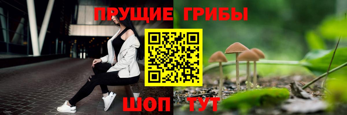 Галлюциногенные грибы MAGIC MUSHROOMS  Вход с VPN  Белореченск 